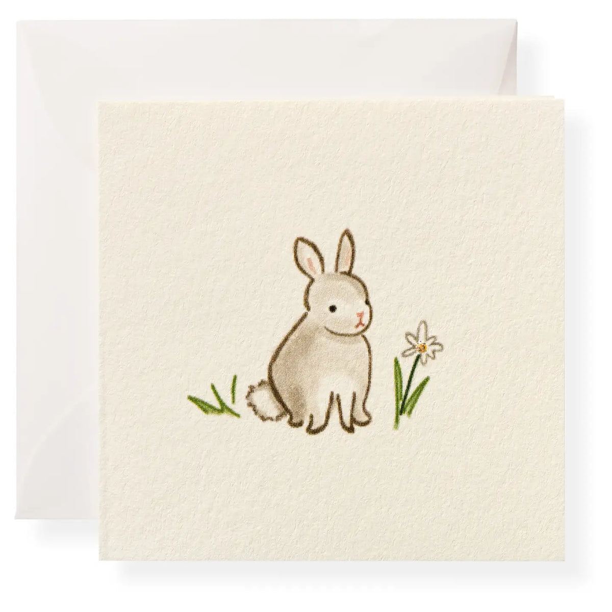 karen adams individual enclosure cards - various