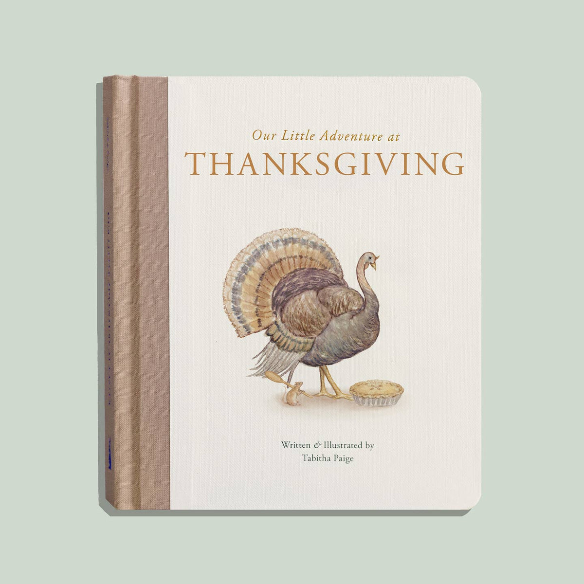 our little adventures - thanksgiving
