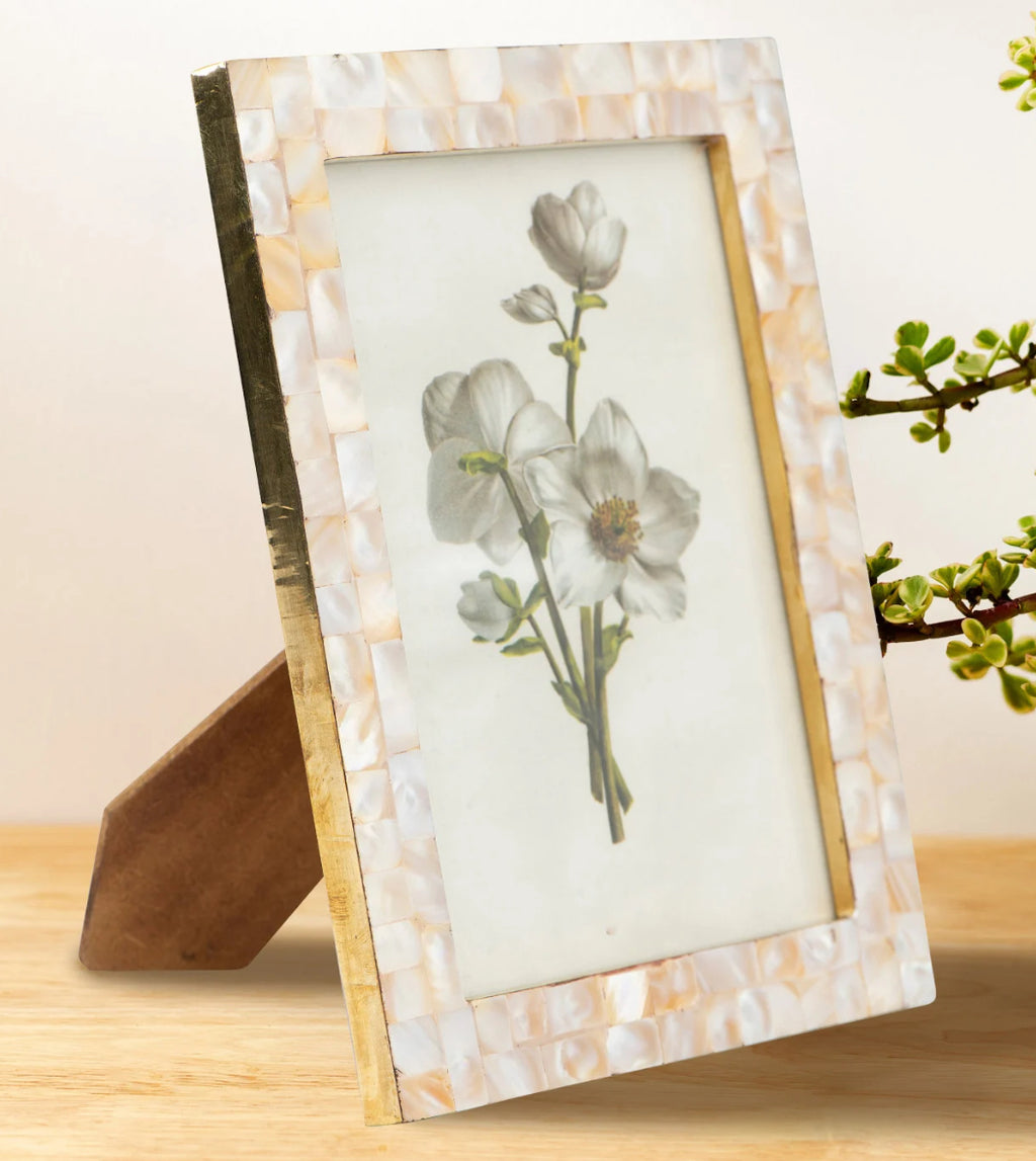 mother of pearl frame