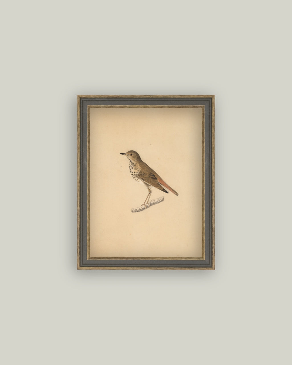 bird framed antique art 7x9