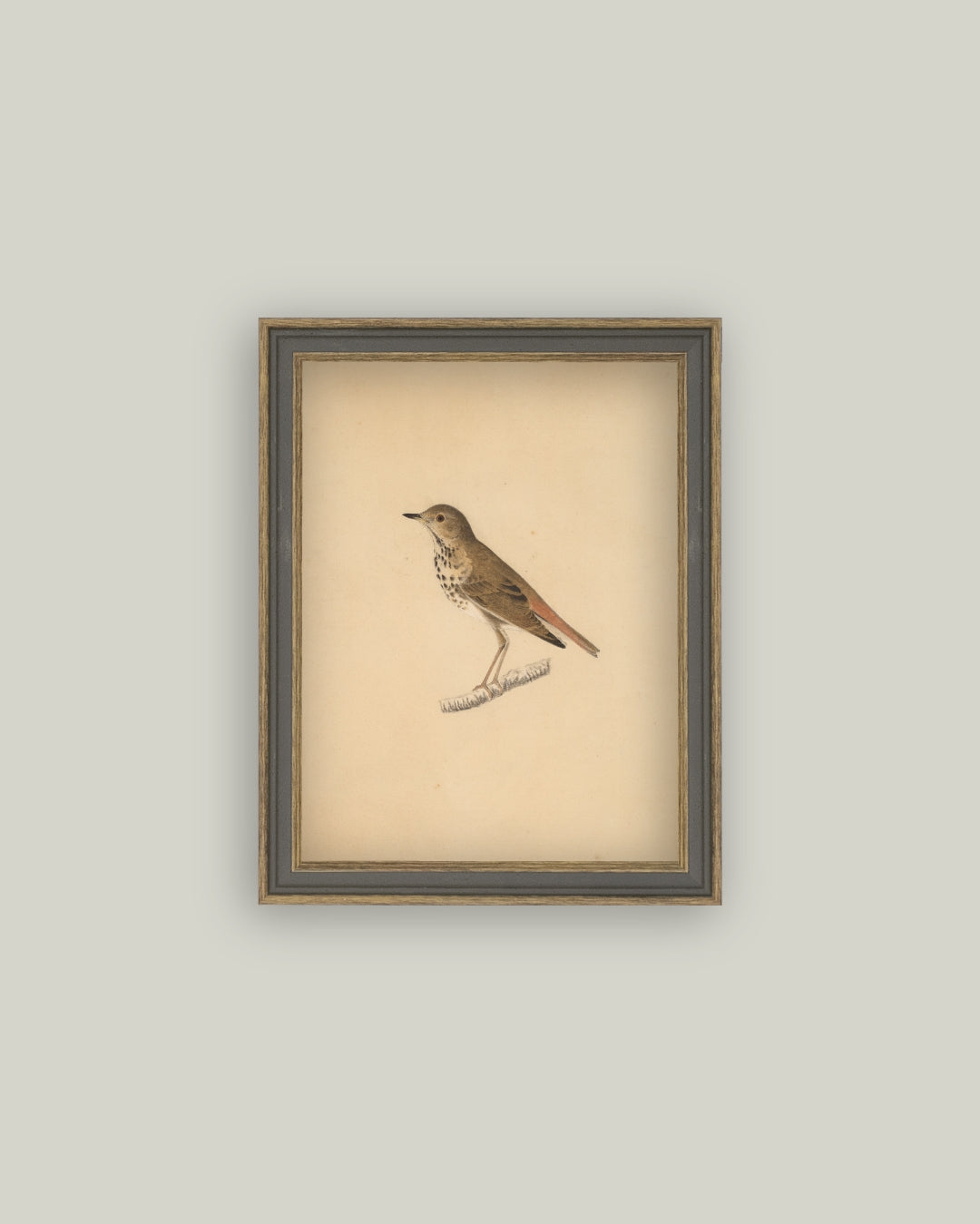 bird framed antique art 7x9