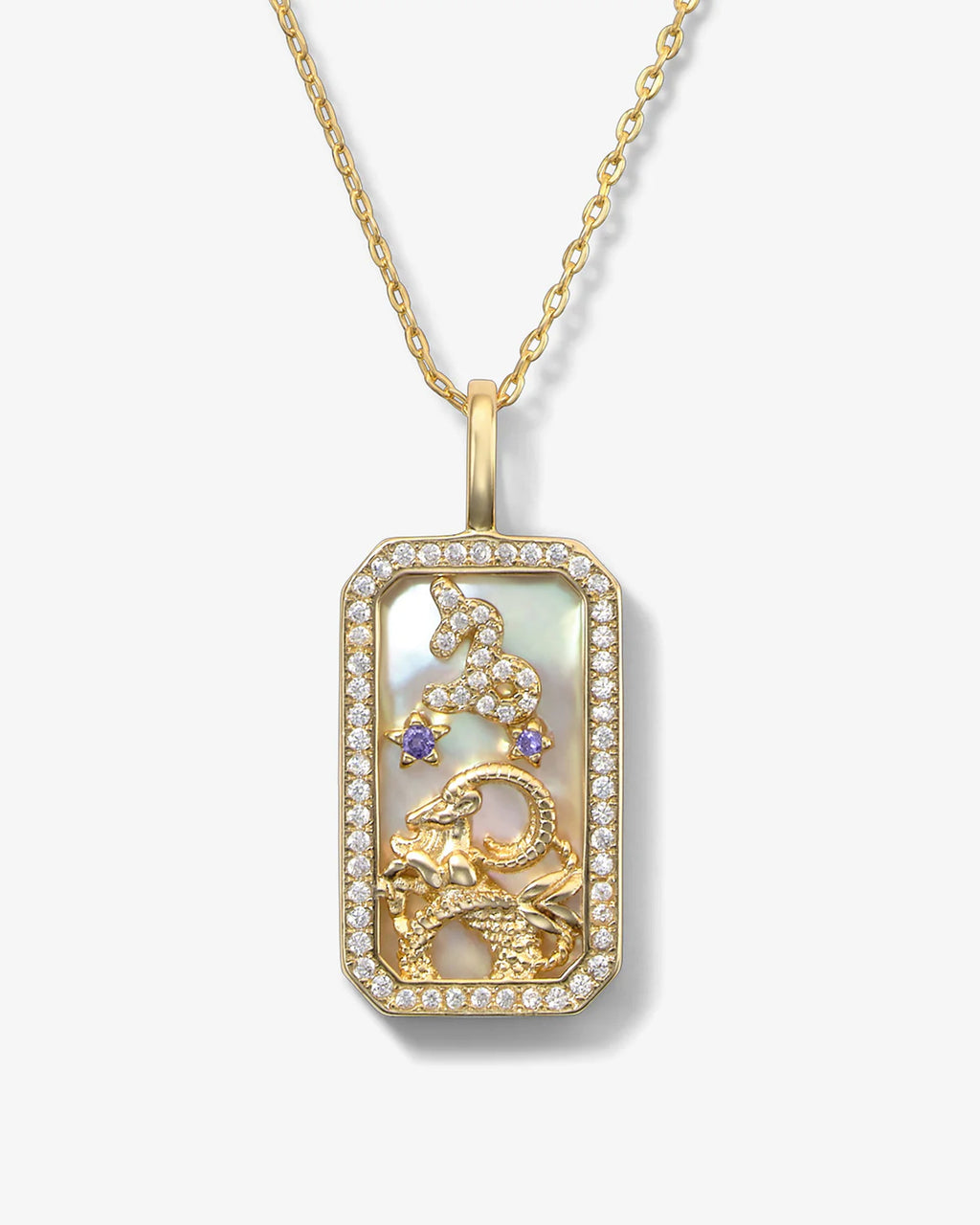 zodiac amulet necklace - sign options
