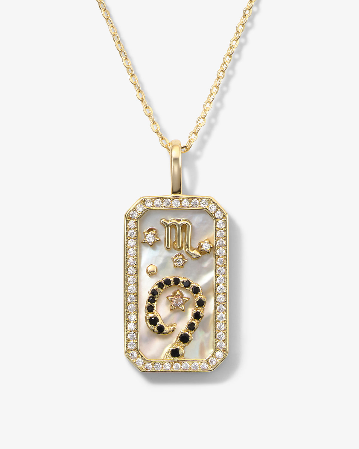 zodiac amulet necklace - sign options